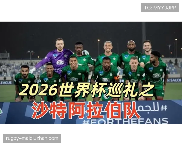世界杯H组哪支球队最稳定 世界杯H组哪支球队最稳定